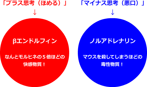 プラス思考とマイナス思考